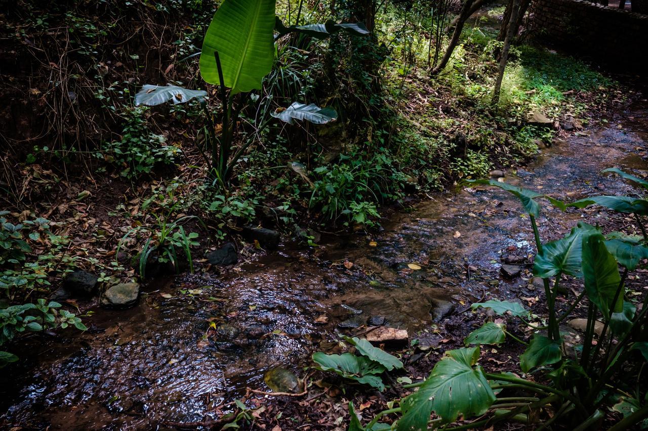 Cinnamon Boutique Guest House Wilderness Exterior foto