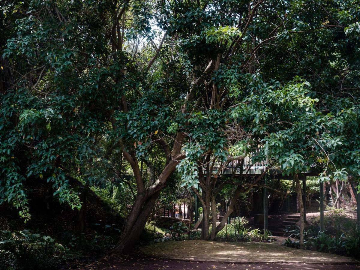 Cinnamon Boutique Guest House Wilderness Exterior foto